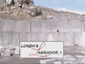 Lundhs Abrador